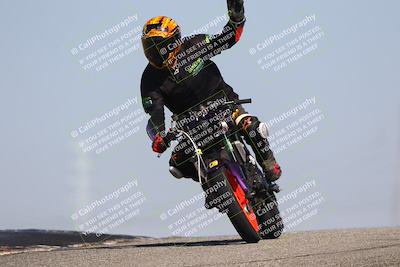 media/Oct-06-2025-2WTD (Mon) [[90522c3a0b]]/B Group/1120am (Grapevine)/